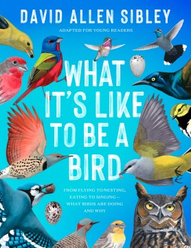 What it's like to be a bird : from flying to nesting, eating to singing-what birds are doing and why 