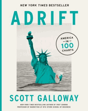 Adrift : America in 100 charts 